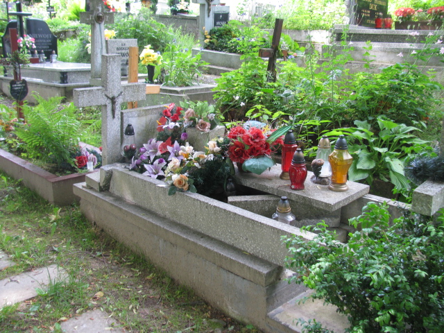 Grób Bronisław Suski