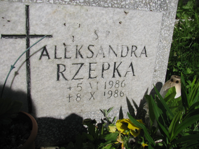 Aleksandra Rzepka 1986 Duszniki Zdrój - Grobonet - Wyszukiwarka osób pochowanych