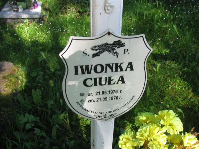Iwona Ciuła 1976 Duszniki Zdrój - Grobonet - Wyszukiwarka osób pochowanych
