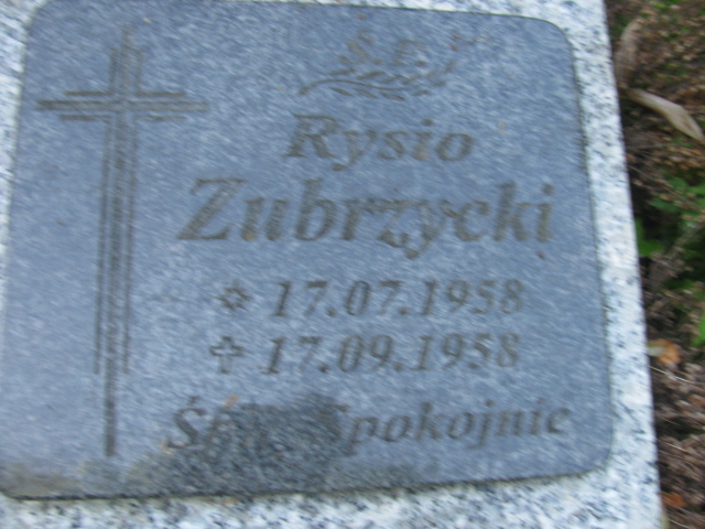 Ryszard Zubrzycki 1958 Duszniki Zdrój - Grobonet - Wyszukiwarka osób pochowanych